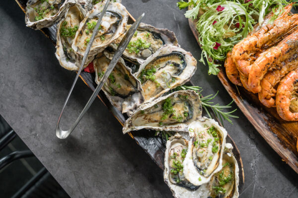 _dsc2555_52651927598_o_1