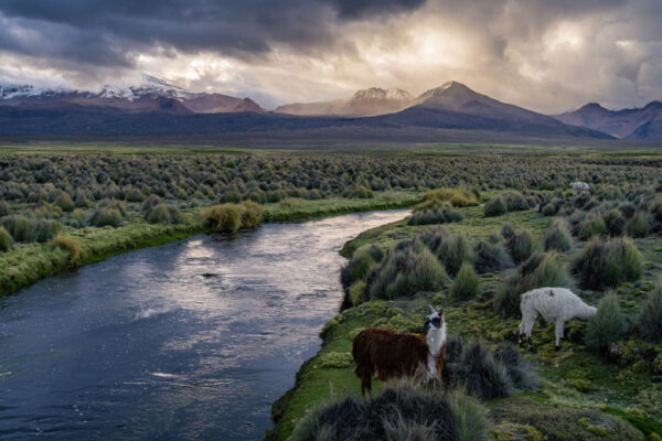 Sajama National Park